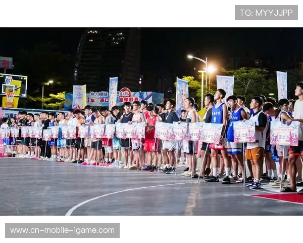 篮球的魅力与挑战探索：从基础技巧到职业联赛的全方位解析