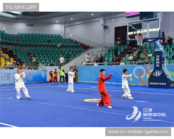 全国锦标赛分析：成都羽毛球队灵活性展现与战术运用的深度解读