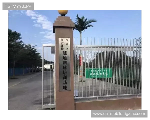 北京网球队的管理与发展现状深度解析及未来展望