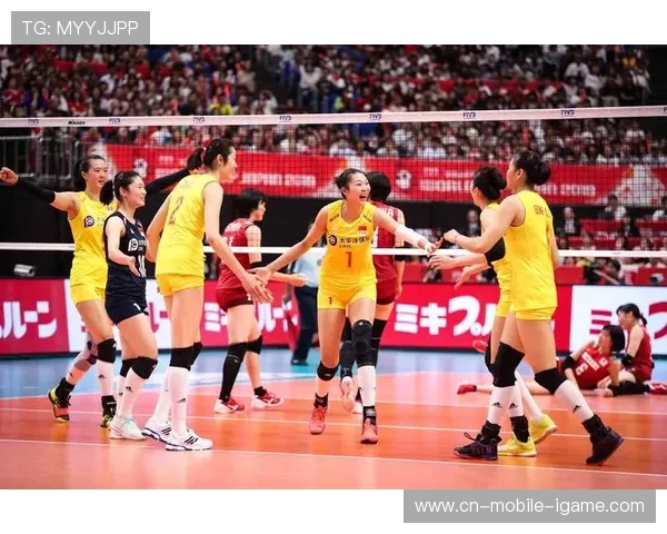 杭州排球队技术对比深度解析与发展趋势探讨