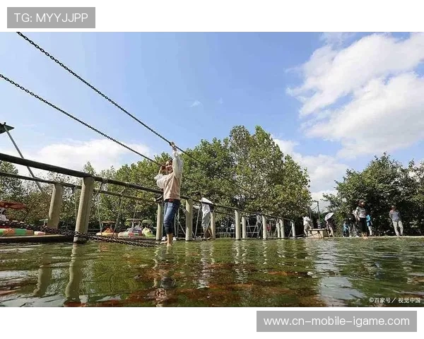 从勇敢跃入到完美入水探寻跳水运动背后的力量与艺术 从勇敢跃入到完美入水探寻跳水运动背后的力量与艺术
